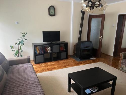 Sokobanja apartman Aviva