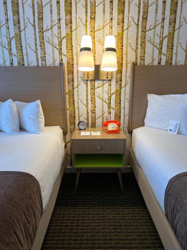 2 queen beds