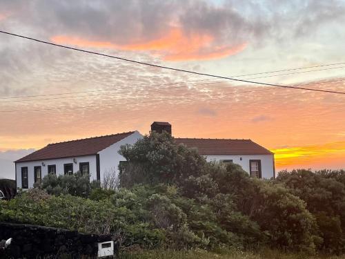 Dream By The Sea, Madalena (Foto 9)