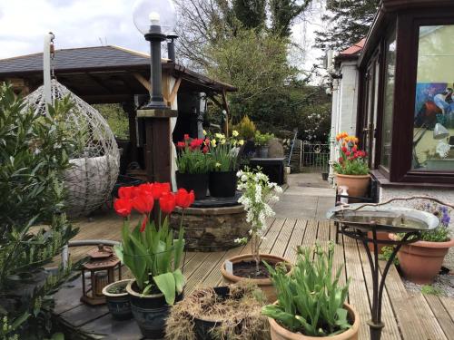 The Haven B&B - main image