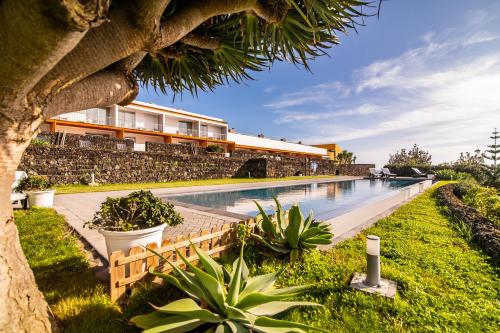ANC Experience Resort - main image