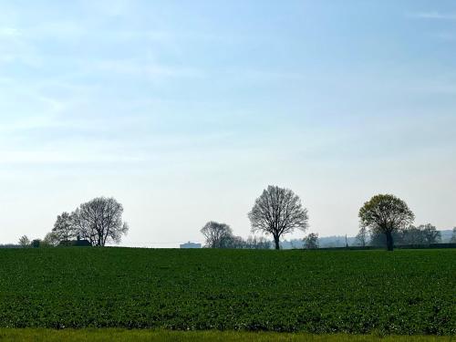Plumpton House, Ashford (fotografie 10)