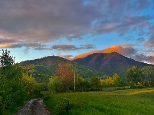 Langaland Glamping