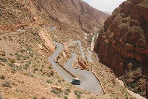 巴比伦达德斯旅舍 巴比伦达德斯旅舍