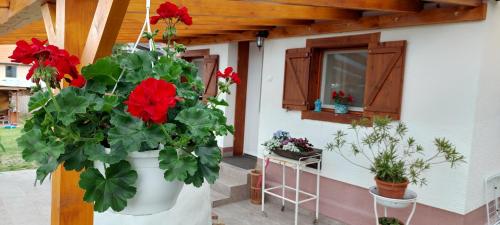 Small House Apartment in Kerepes
