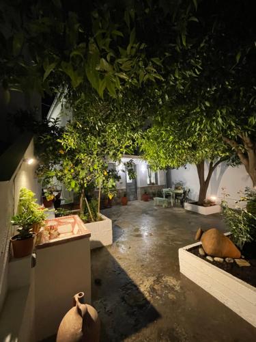 Dārzs, Nina’s Garden in Loutraki Skopelosa