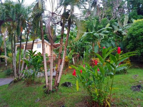 Martinique La petite maison dans la Colline - Location saisonnière - Le Lamentin