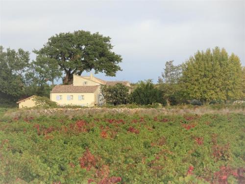 Ferme de l'Arnesque