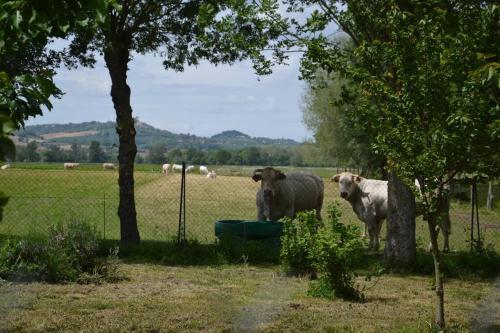 Gîte à la Ferme de la Bouriette