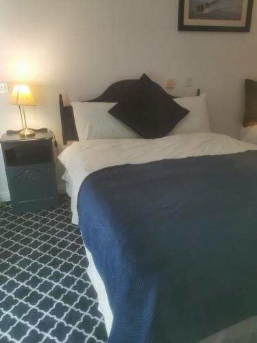 Tory Island Harbour View Hotel - image 6