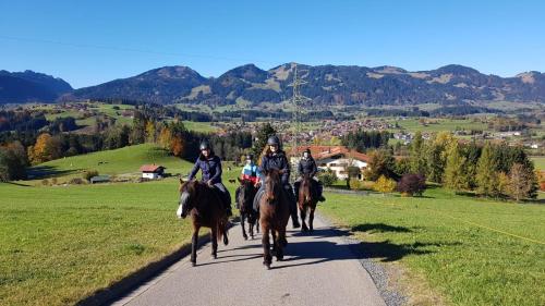 ขี่ม้า, Ponyhof Schöllang (Ponyhof Schollang) in ชอลลัง