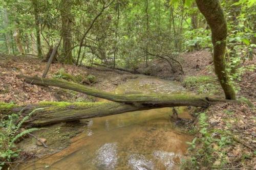 Tiny Creek Cabin Couples Retreat On Babbling Brook