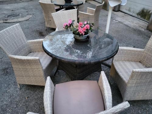 Viva Nord Hotel Viva Nord Hotel