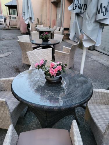 Viva Nord Hotel Viva Nord Hotel