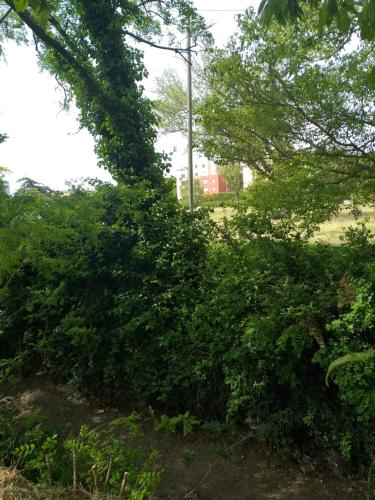 View, Le Nomade, Parc Montcalm et stationnement prive in Estanove