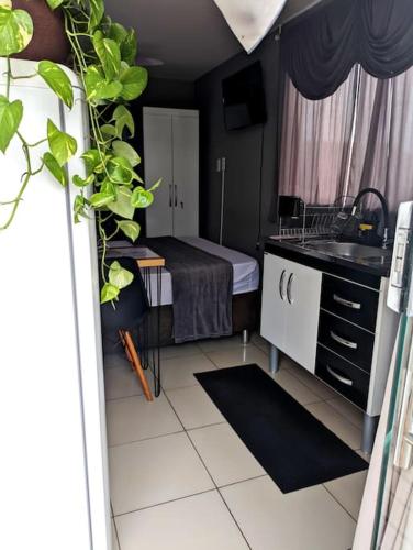 Tiny House Paraiso Minicasas Com Hidromassagem