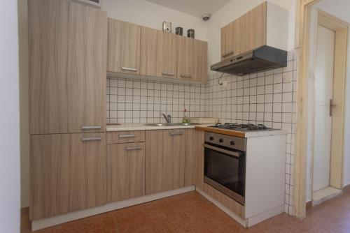 One-Bedroom Apartment image 10