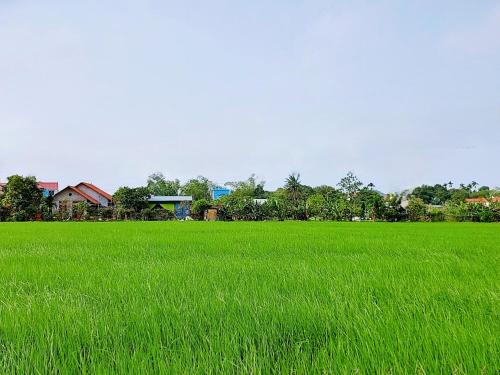 Ninh Binh Green Farmstay