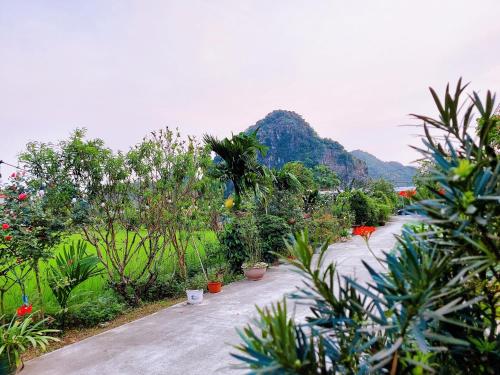 Ninh Binh Green Farmstay