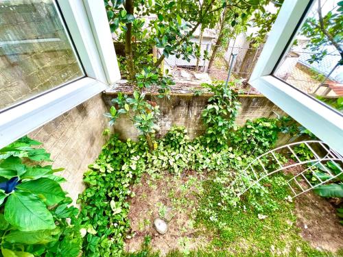Family Room with Garden View image 6