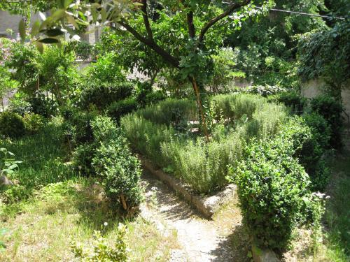 Guesthouse Vrlic - image 3