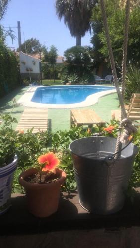 Macondo La barrosa