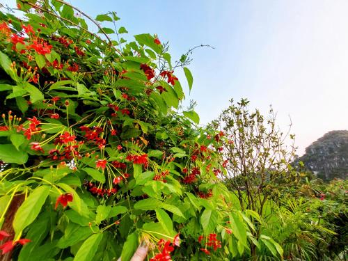 Ninh Binh Green Farmstay