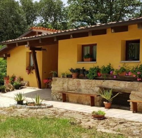 Chalet Domus De Janas immerso nella natura in Fonni