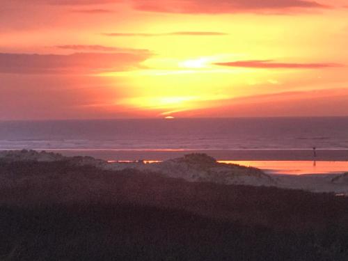 景觀, Tiny House in de duinen van IJmuiden aan Zee in 艾默伊登