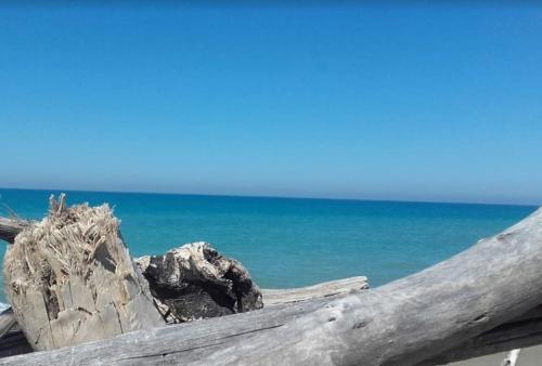 Casina al mare - Cecina