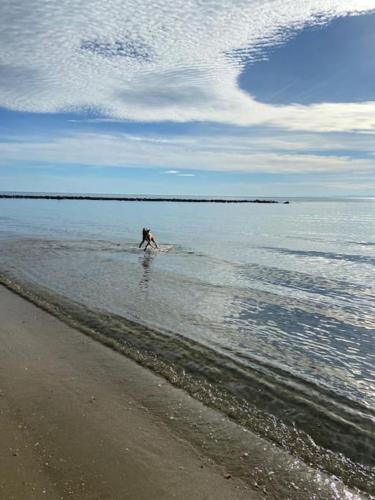 hébergement les pieds dans l'eau hébergement les pieds dans l'eau