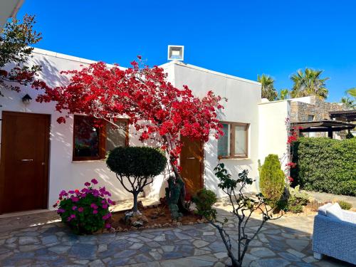 Kali Holiday Apartments