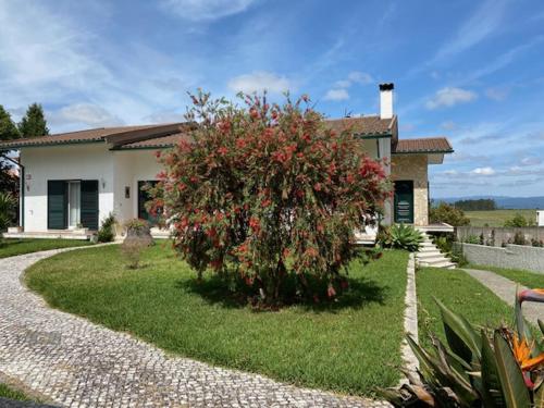 Casa Gorjão - Accommodation - Anadia