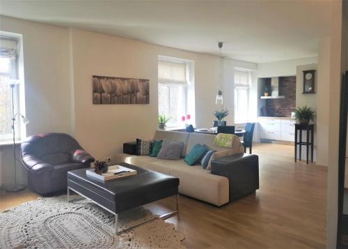 DT apartment, spacious and free parking, Tallinn (photo 2)