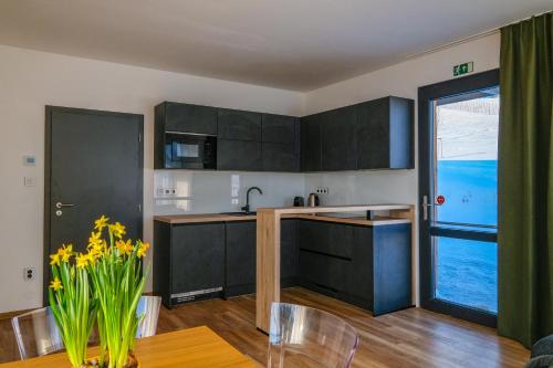 virtuve, Apartmány Trojice (Apartmany Trojice) in Stare Mesto Pod Sneznikem