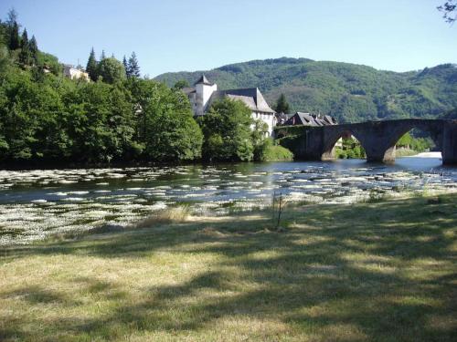 Vue du Pont - Location saisonnière - Entraygues-sur-Truyère