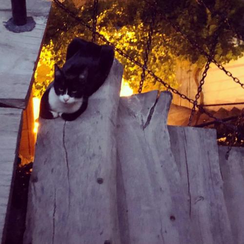 Cappadocia Cave House - image 14