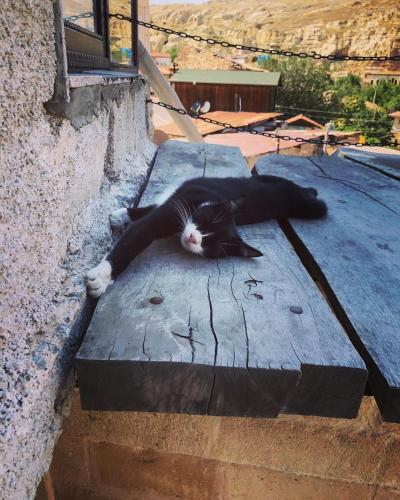 Cappadocia Cave House - image 2