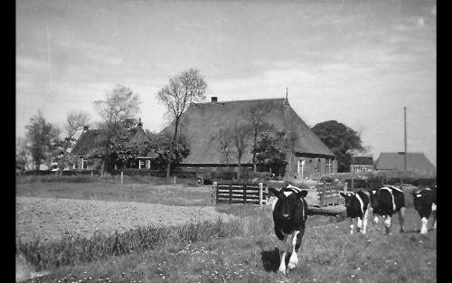  De Bedstee in Holwerd