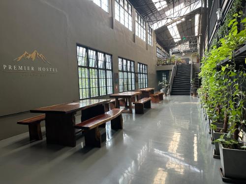 Premier Hostel Chiang Mai - 로비