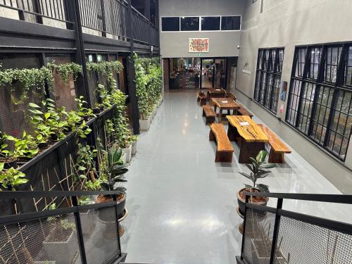 Premier Hostel Chiang Mai - 숙소 외관