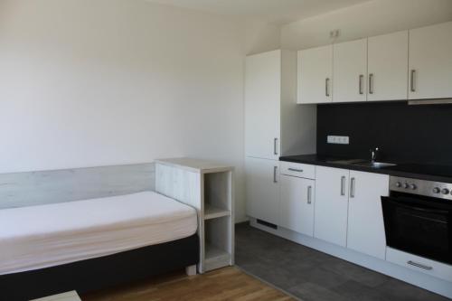 1 Zimmer Studioapartment mit bis zu 2 Einzelbetten in der Land of Living