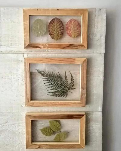  Bed & Bike Frasassi in Falcioni