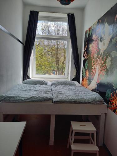 instant Sleep Backpacker Hostel - image 12