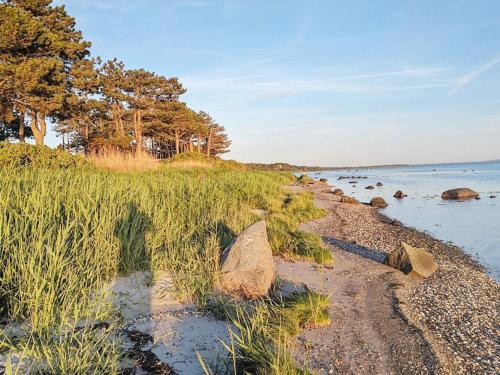 Holiday home Jægerspris XIX - image 2