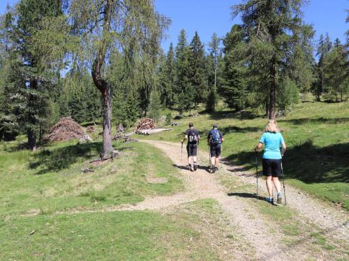 Almzauber Chalets Hochrindl - Hochrindl / Sirnitz