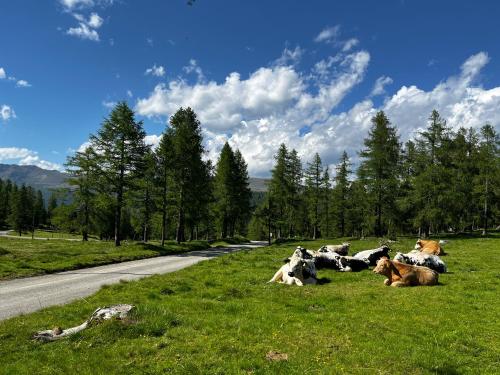 Almzauber Chalets Hochrindl