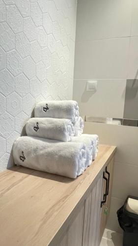 Apartament AB Villa Mountain View Szklarska Poręba, Szklarska Poręba (foto 5)