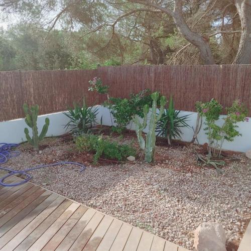 Gorgeous Beach Villla with AC, 300m2 from Playa Mitjorn Gorgeous Beach Villla with AC, 300m2 from Playa Mitjorn