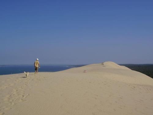 La cabane n°20, Plage à pieds